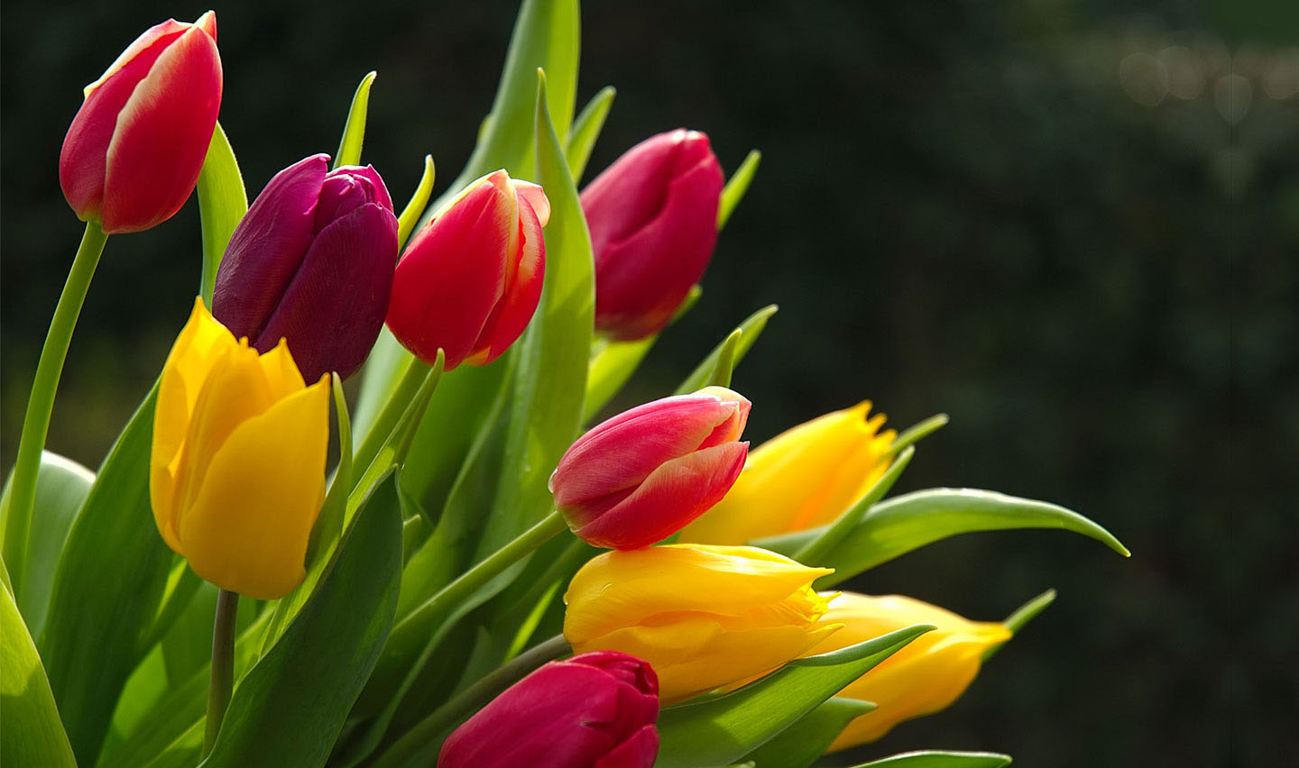 flowers